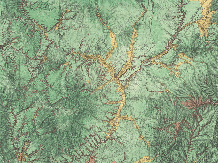 Woodland Mural Wallpaper
