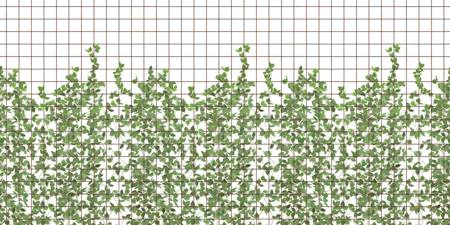 Climbing Clorofyl Mural Wallpaper