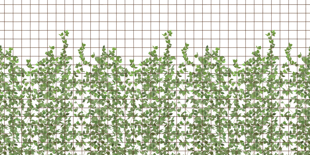 Climbing Clorofyl Mural Wallpaper - pure wallpaper artwork