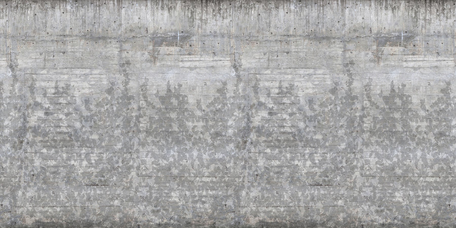 Climbing Clorofyl, Shadow Mural Wallpaper