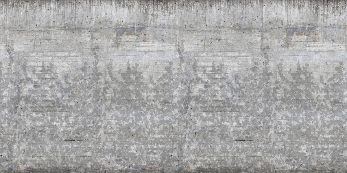 Climbing Clorofyl, Shadow Mural Wallpaper - pure wallpaper artwork