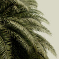 Leaf Love Mural Wallpaper - pure wallpaper artwork