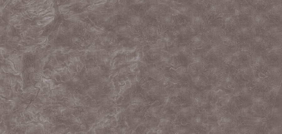 Elevation Lines Mural Wallpaper