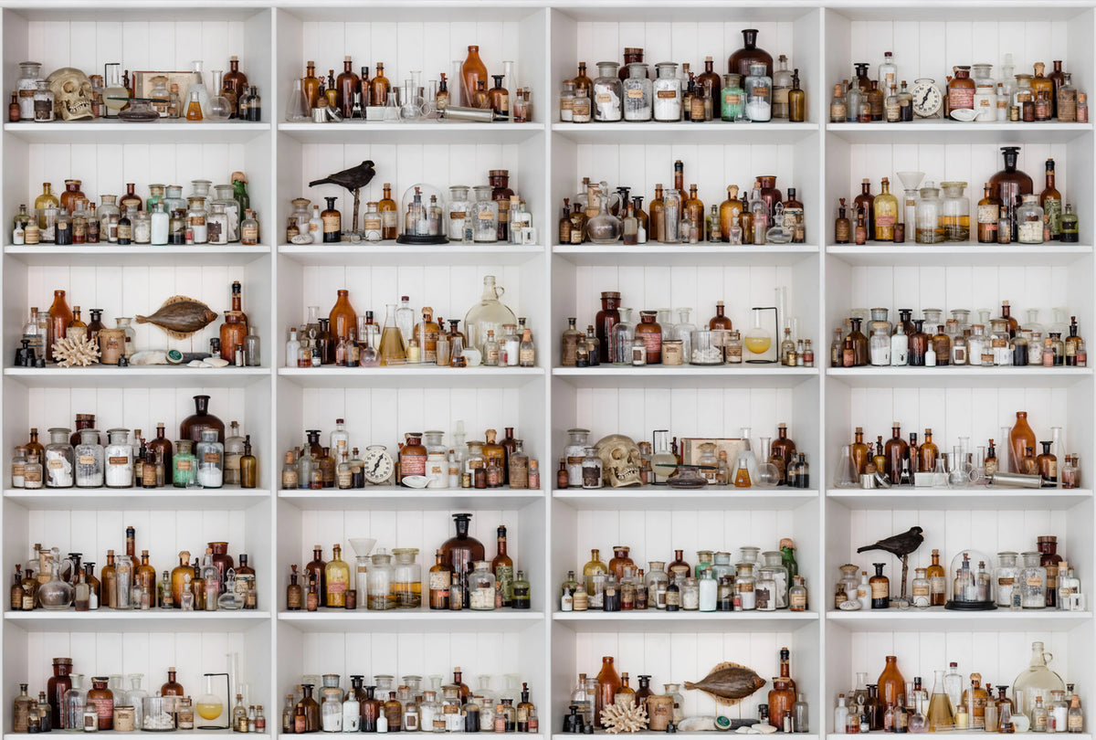 Cabinet of Curios Mural Wallpaper - pure wallpaper artwork