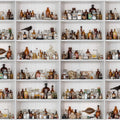 Cabinet of Curios Mural Wallpaper - pure wallpaper artwork