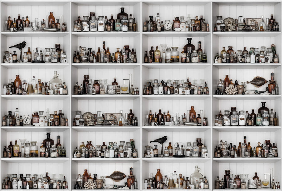 Cabinet of Curios, Raw Mural Wallpaper