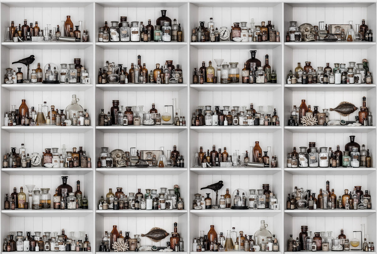 Cabinet of Curios, Raw Mural Wallpaper - pure wallpaper artwork