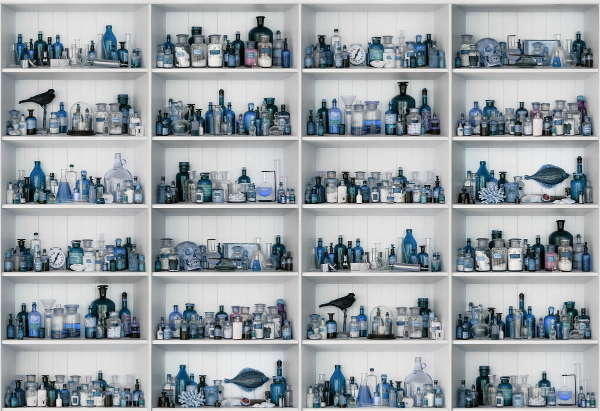 Cabinet of Curios, Sapphire Mural Wallpaper - pure wallpaper artwork