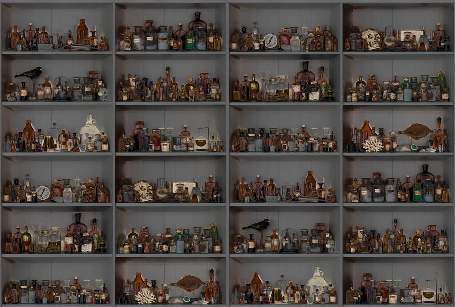 Cabinet of Curios, Night Mural Wallpaper