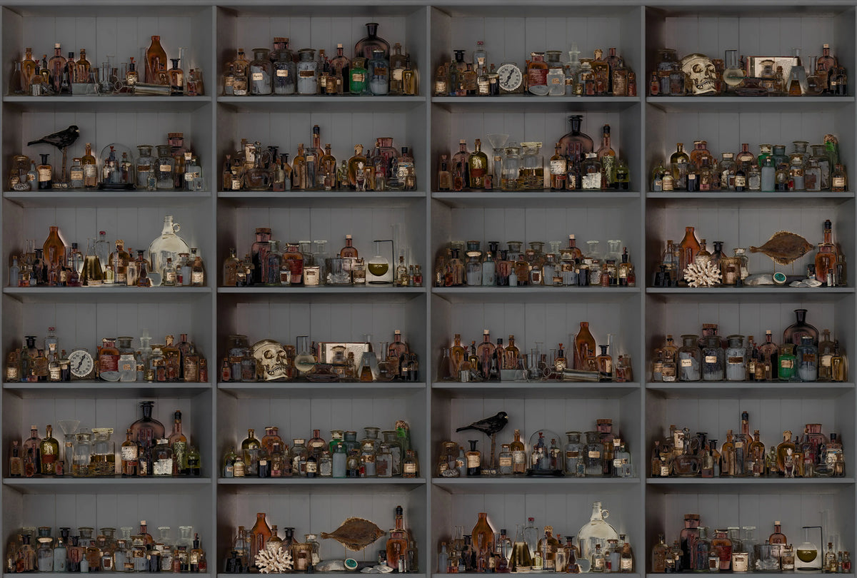 Cabinet of Curios, Night Mural Wallpaper - pure wallpaper artwork