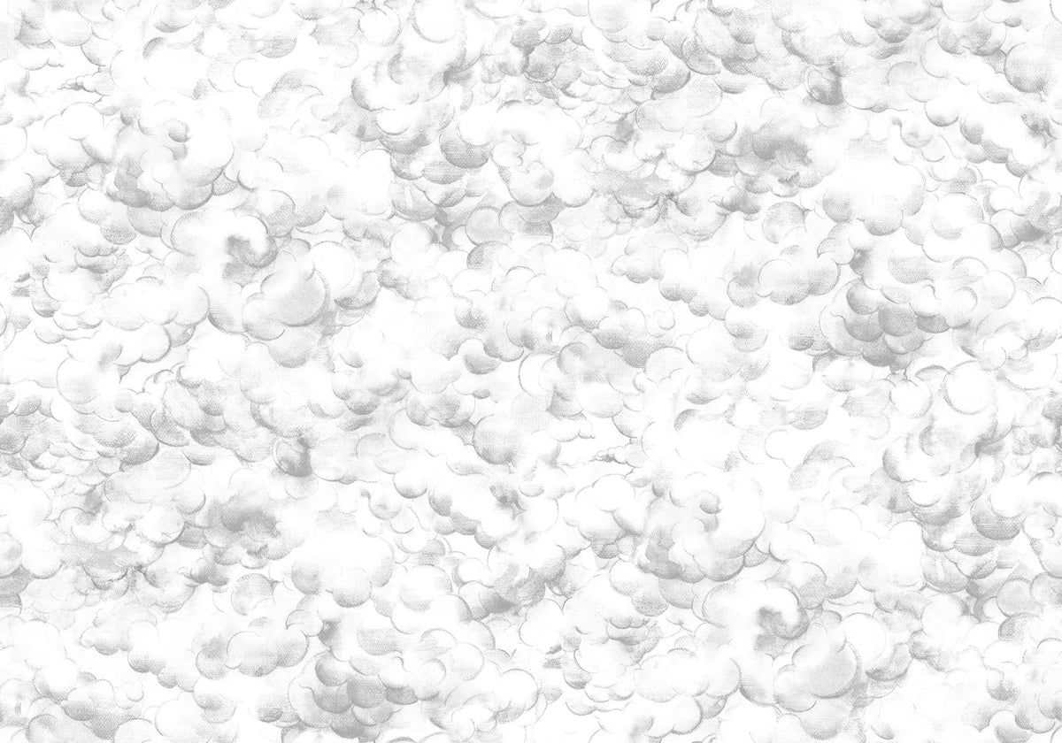 Storm Brewing, Light Mural Wallpaper - pure wallpaper artwork