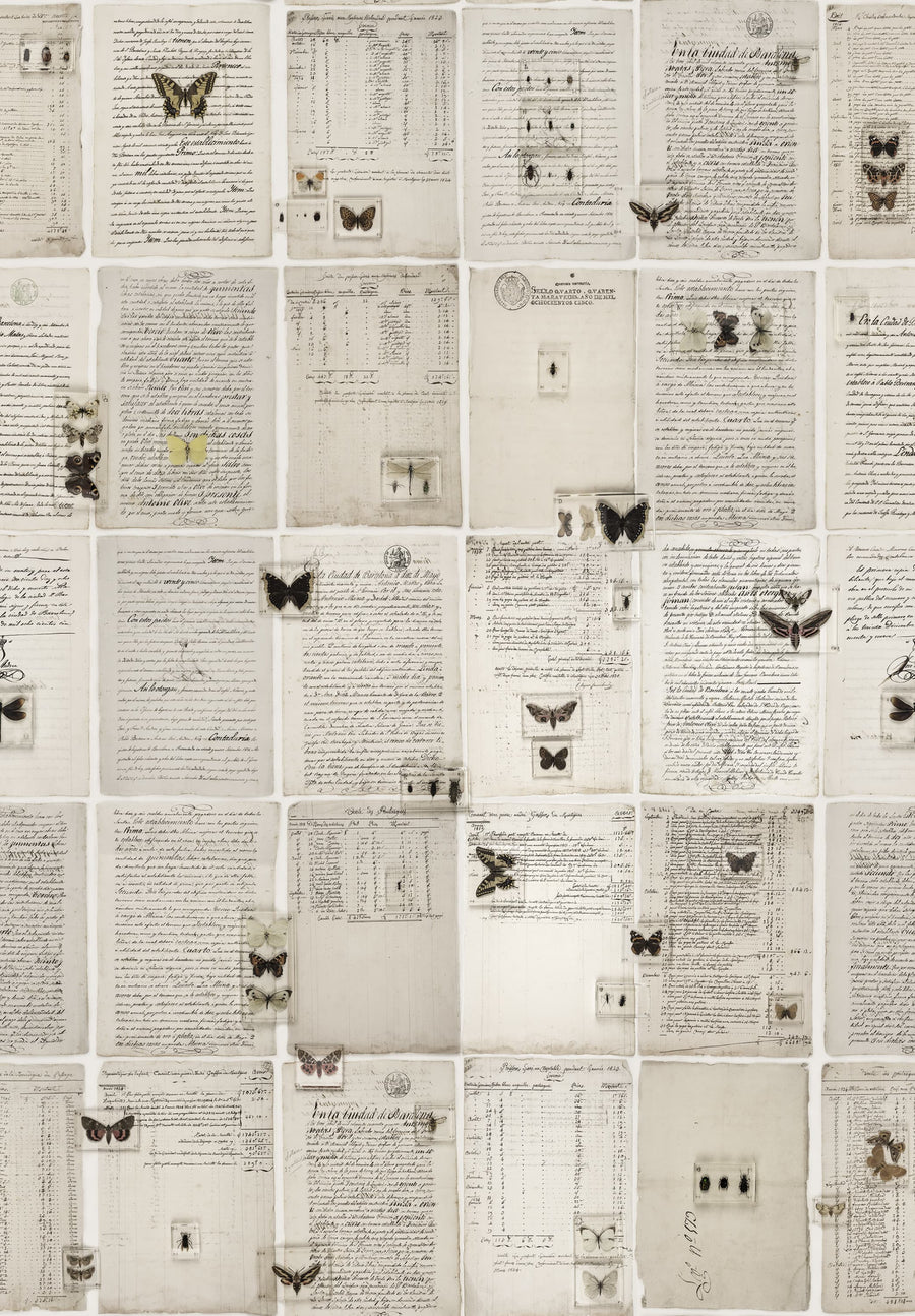 The Butterfly Library Mural Wallpaper