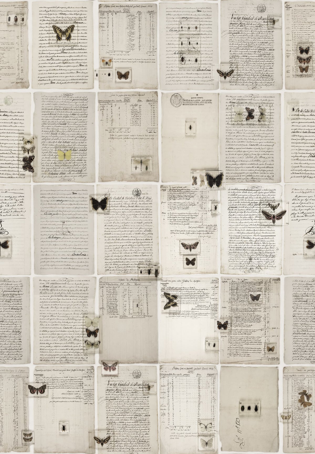 The Butterfly Library Mural Wallpaper - pure wallpaper artwork