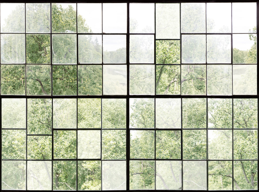 Factory Window Mural Wallpaper