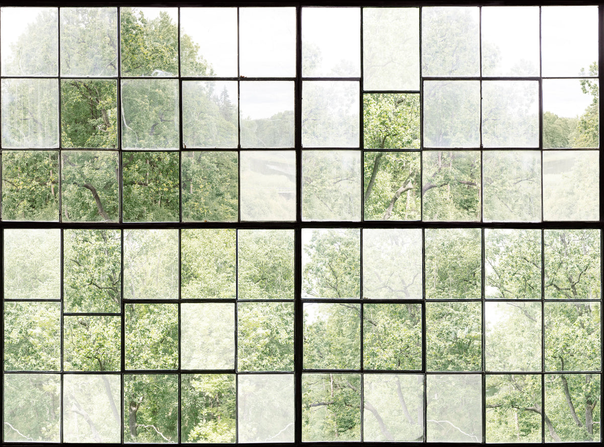 Factory Window Mural Wallpaper - pure wallpaper artwork