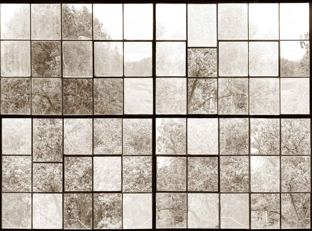 Factory Window, Sepia Mural Wallpaper - pure wallpaper artwork