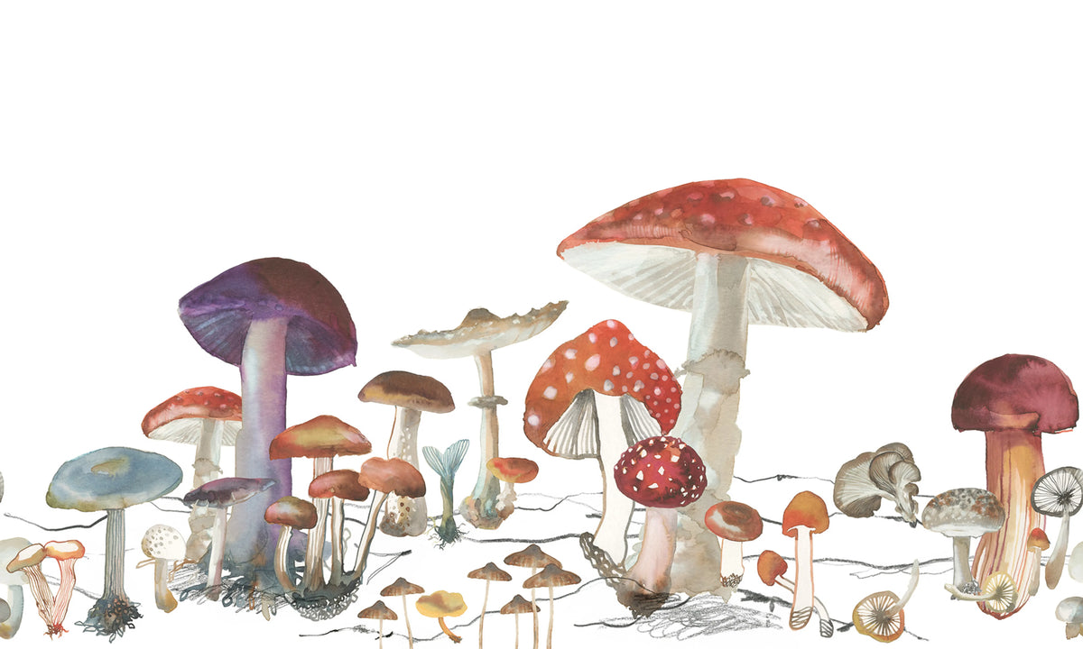 Woods of Wonder Mural Wallpaper - pure wallpaper artwork