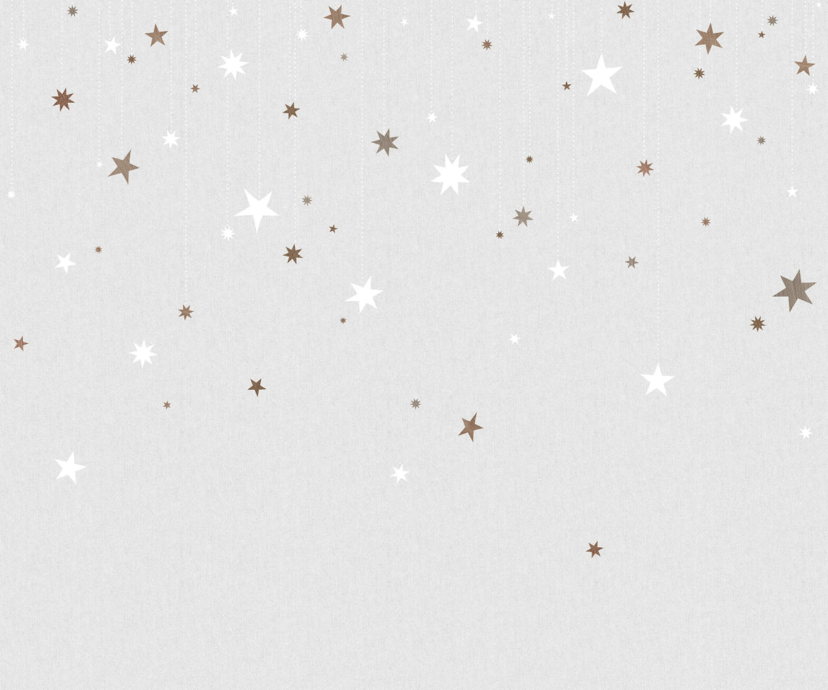Stargazing, Dusk Mural Wallpaper - pure wallpaper artwork