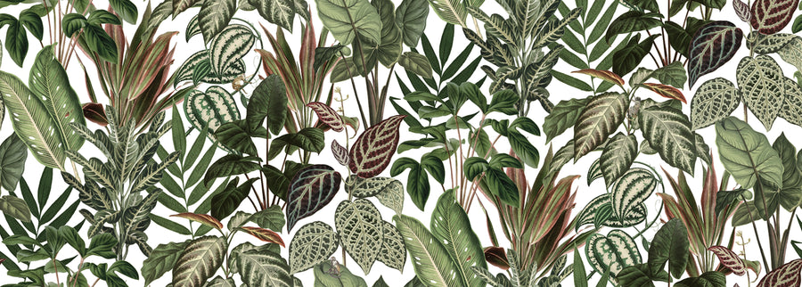 Mischievous Monkeys Mural Wallpaper