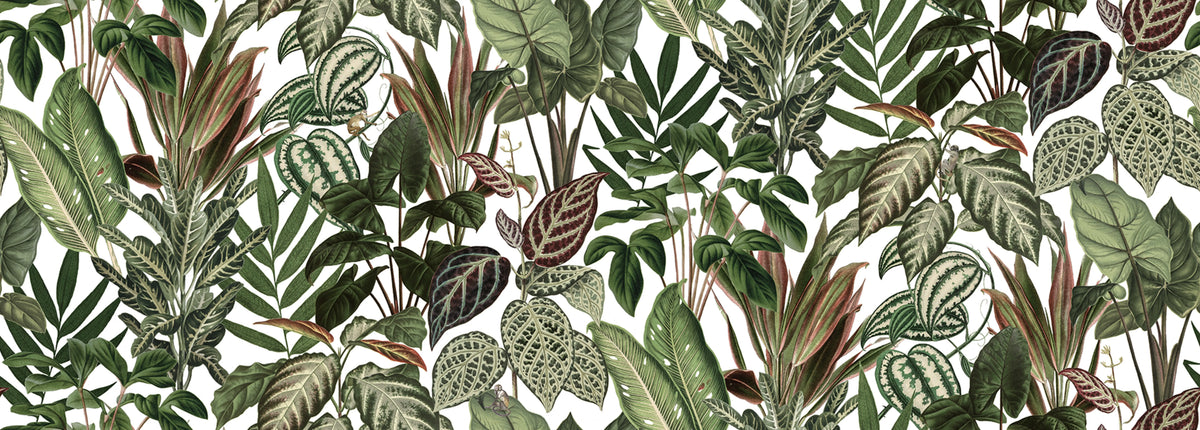 Mischievous Monkeys Mural Wallpaper - pure wallpaper artwork