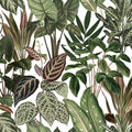 Mischievous Monkeys Mural Wallpaper - pure wallpaper artwork
