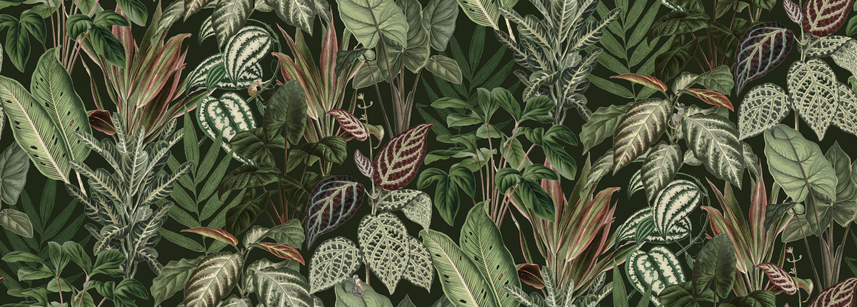 Mischievous Monkeys, Lush Mural Wallpaper - pure wallpaper artwork