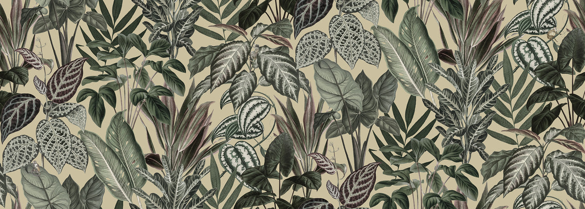 Mischievous Monkeys, Sunshine Mural Wallpaper - pure wallpaper artwork