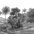 Jungle Land Mural Wallpaper - pure wallpaper artwork