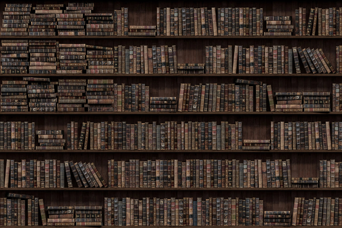 Memory Lane Mural Wallpaper - pure wallpaper artwork