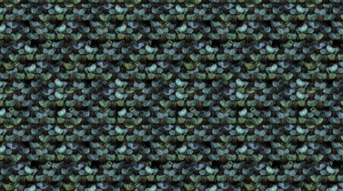 Peacock Plumage Mural Wallpaper - pure wallpaper artwork