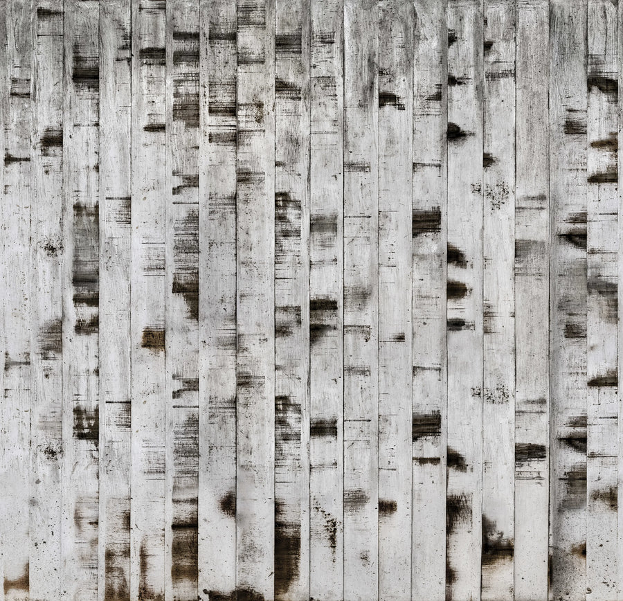 Metal Birch Mural Wallpaper