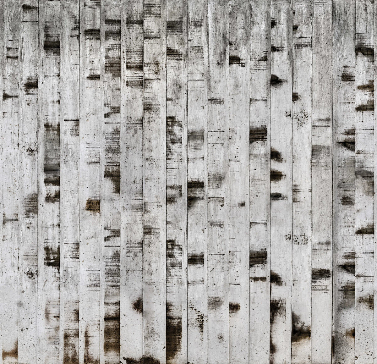 Metal Birch Mural Wallpaper - pure wallpaper artwork