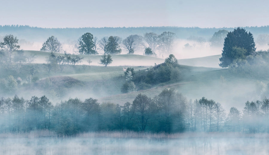 Morning Haze Mural Wallpaper