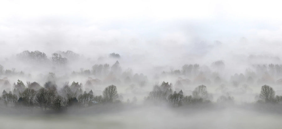 Morning Fog Mural Wallpaper