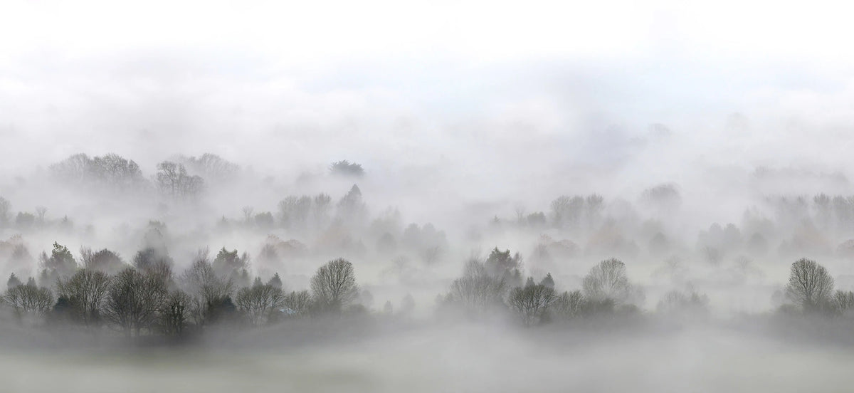 Morning Fog Mural Wallpaper - pure wallpaper artwork