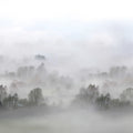 Morning Fog Mural Wallpaper - pure wallpaper artwork