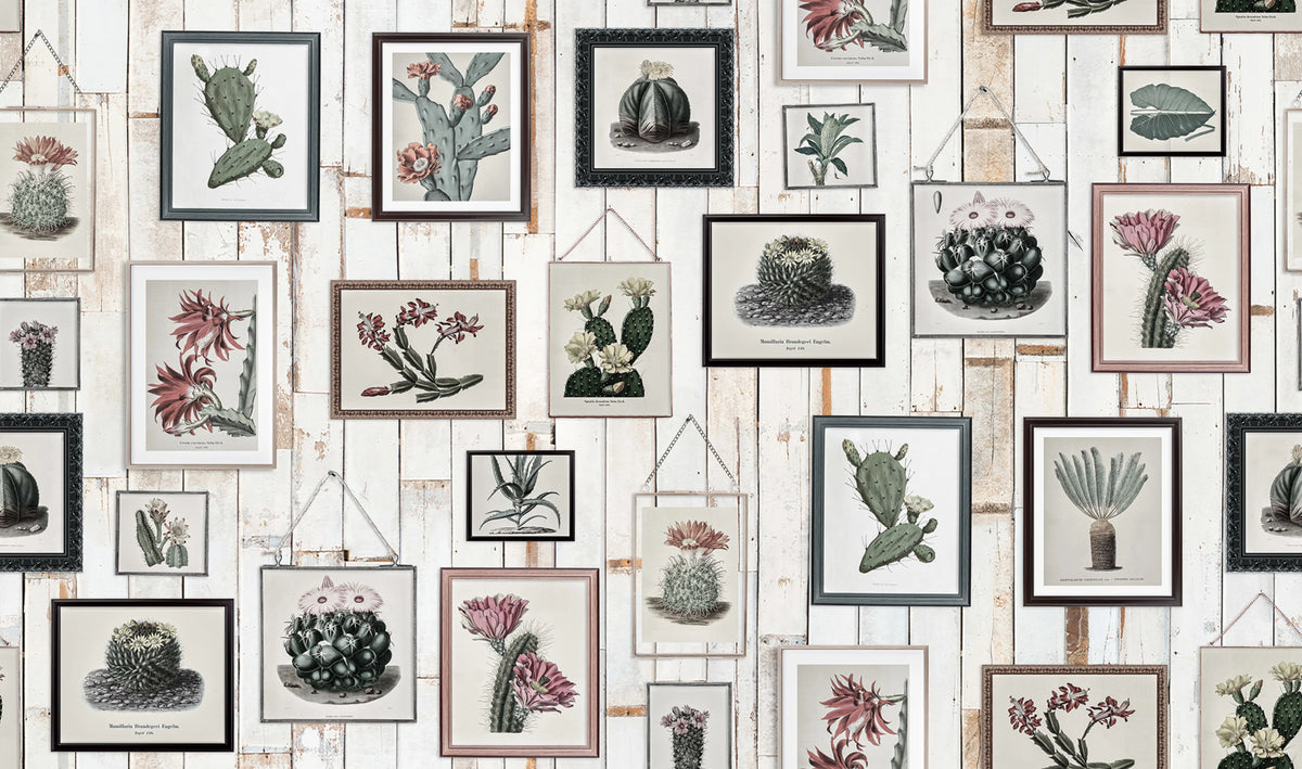 Cactus Wall Art, Faded Mural Wallpaper - pure wallpaper artwork
