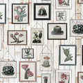Cactus Wall Art, Faded Mural Wallpaper - pure wallpaper artwork