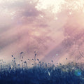 Pink Dawn Mural Wallpaper - pure wallpaper artwork