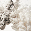 Frozen Moment, Cream Mural Wallpaper - pure wallpaper artwork