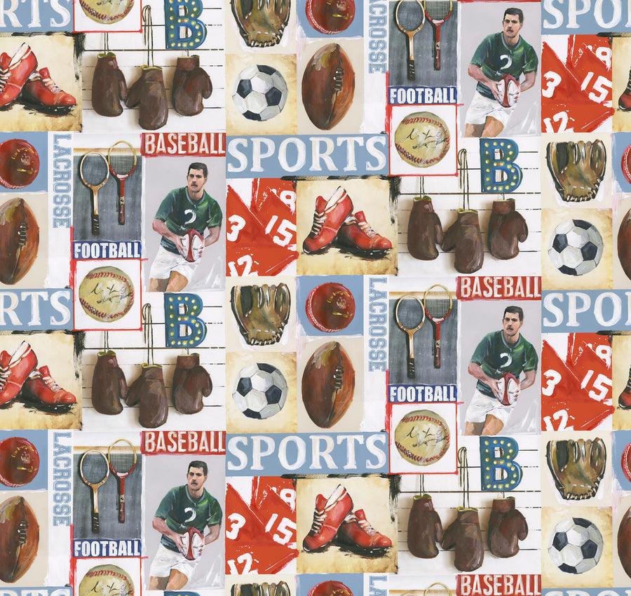 Sports Junkie Mural Wallpaper