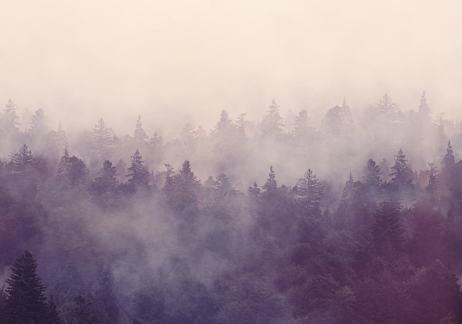 Fir Forest Mural Wallpaper