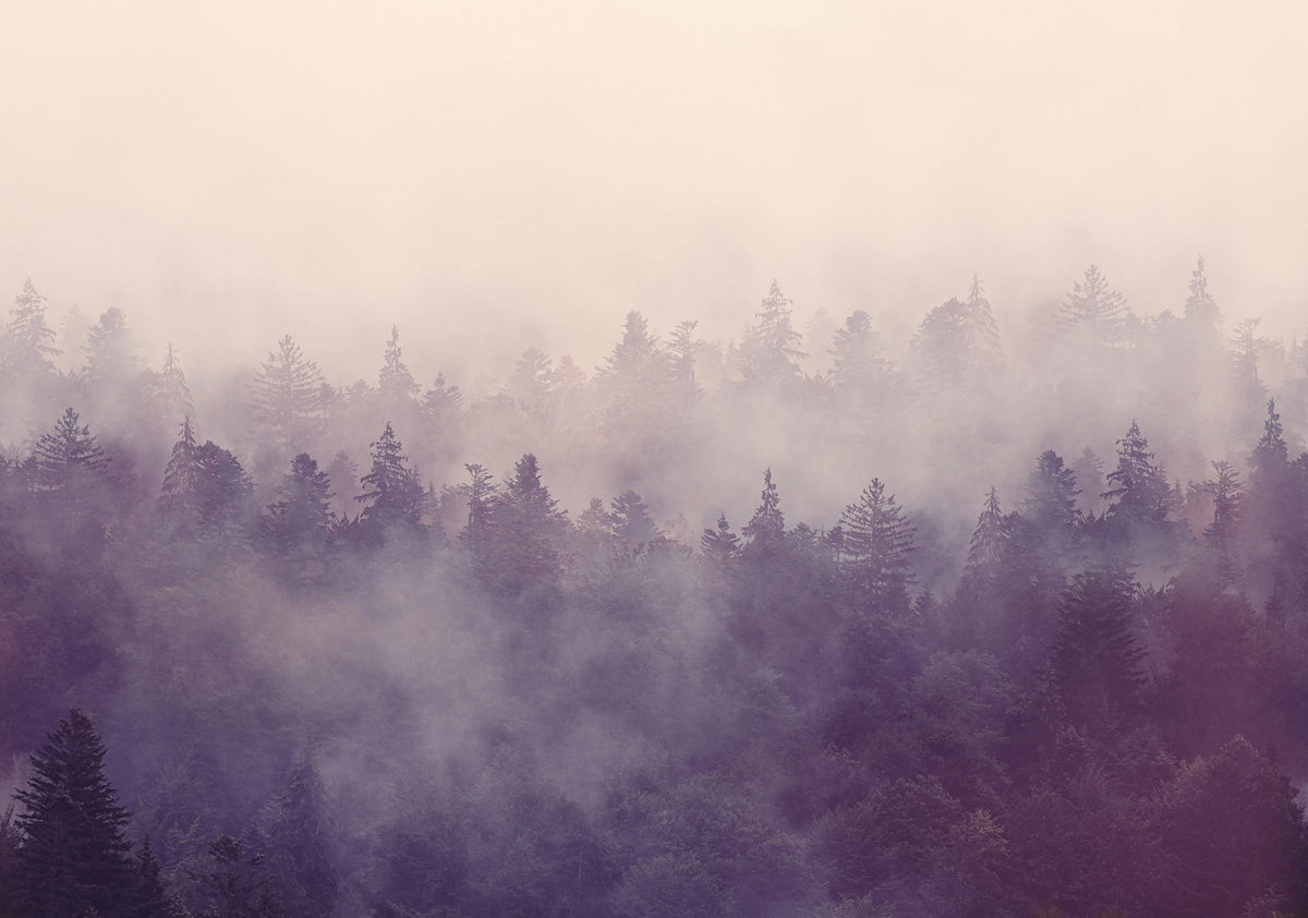 Fir Forest Mural Wallpaper - pure wallpaper artwork