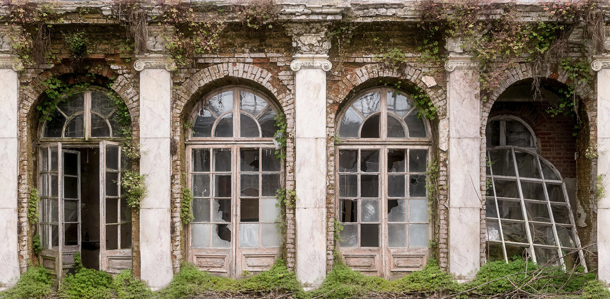 Ruin Romance Mural Wallpaper - pure wallpaper artwork