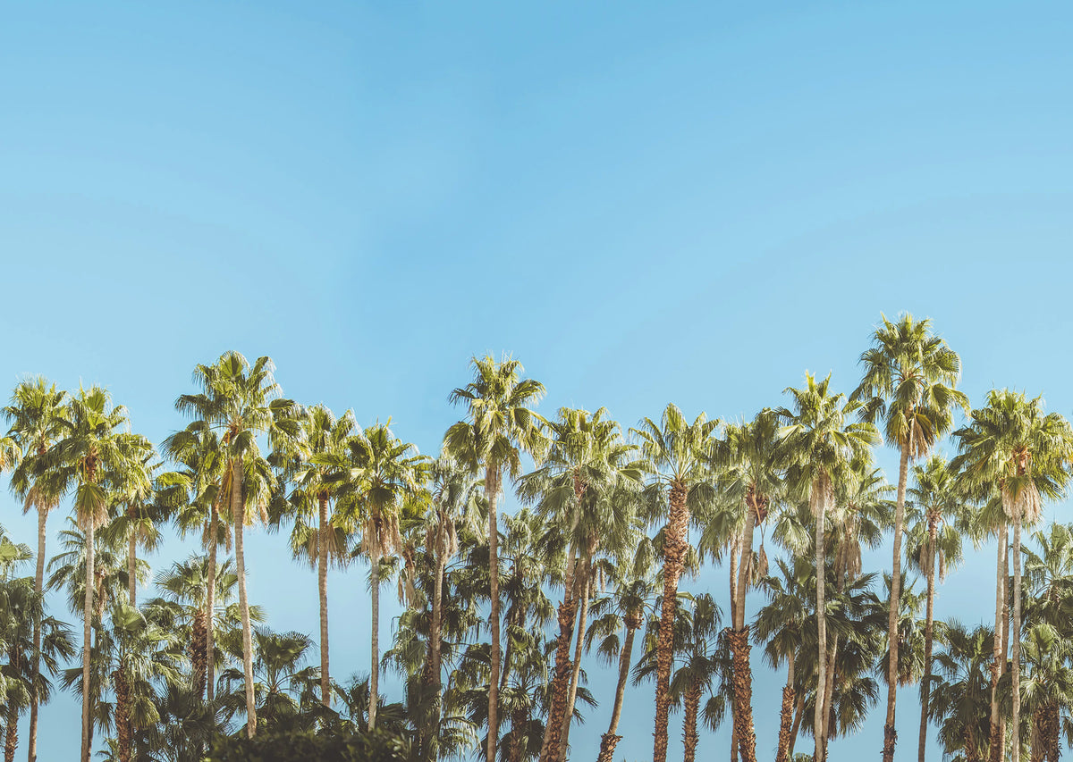 Riviera Daydream Mural Wallpaper - pure wallpaper artwork
