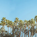 Riviera Daydream Mural Wallpaper - pure wallpaper artwork