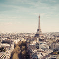 La Vie Mural Wallpaper - pure wallpaper artwork
