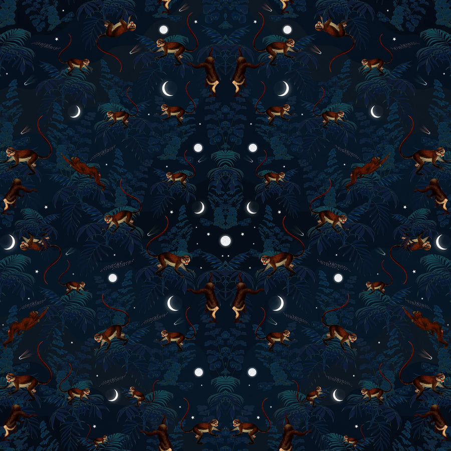Space Monkey Mural Wallpaper