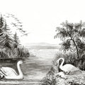 Swan Lake Mural Wallpaper - pure wallpaper artwork