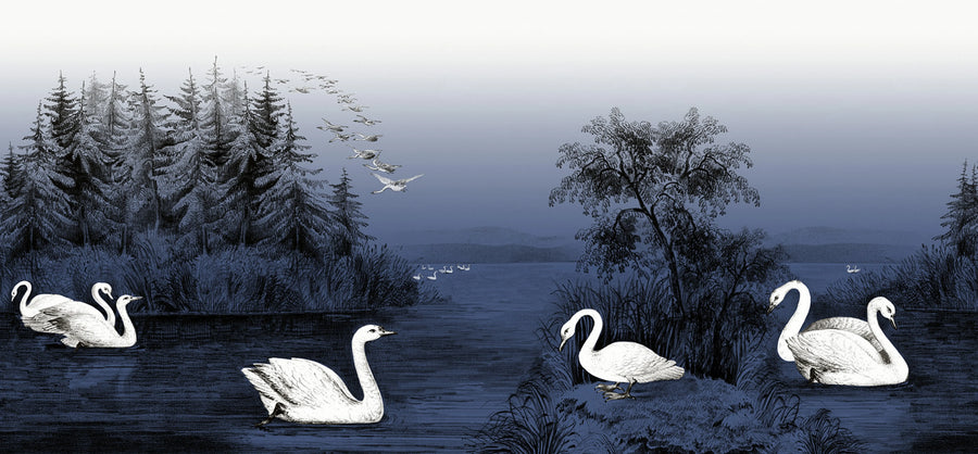 Swan Lake, Nightfall Mural Wallpaper